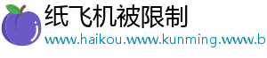 纸飞机被限制